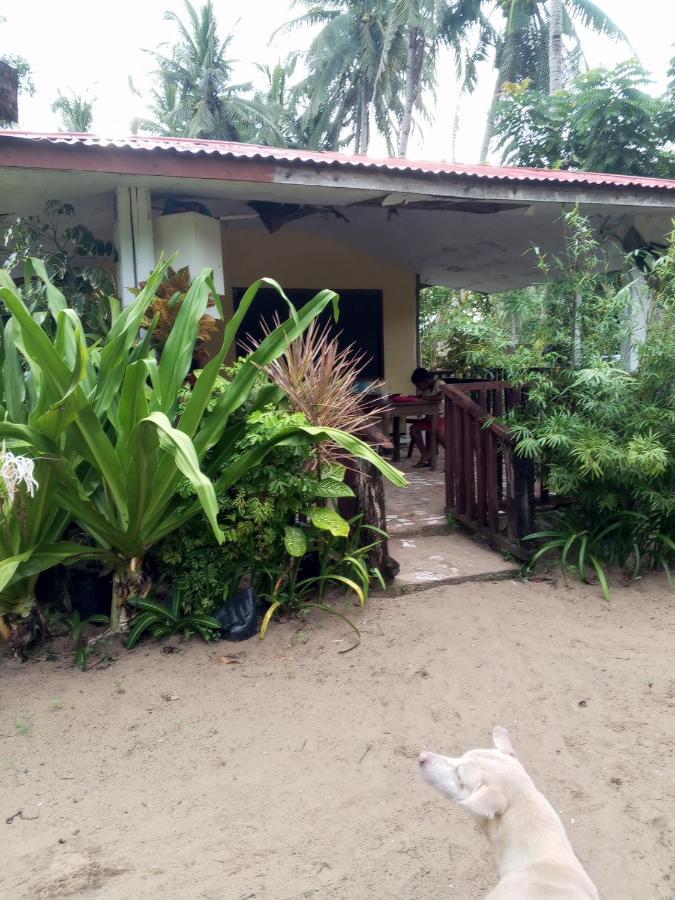Akoya Beach Park And Cottages Locaroc Eksteriør bilde