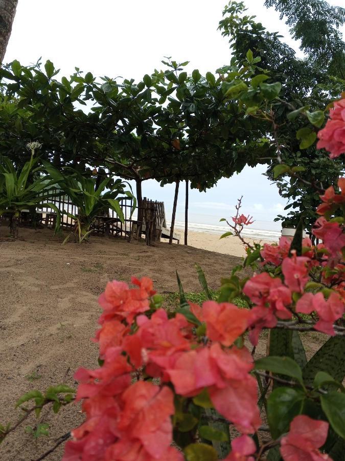 Akoya Beach Park And Cottages Locaroc Eksteriør bilde